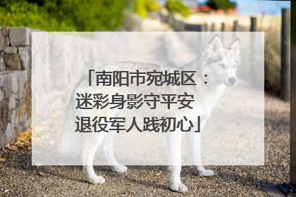 南阳市宛城区：迷彩身影守平安 退役军人践初心